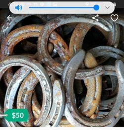Steel horse shoes