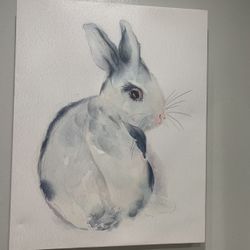 Bunny Rabbit Picture
