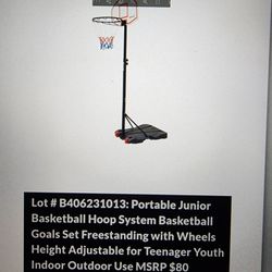 LV Basketball Hoop for Sale in San Diego, CA - OfferUp