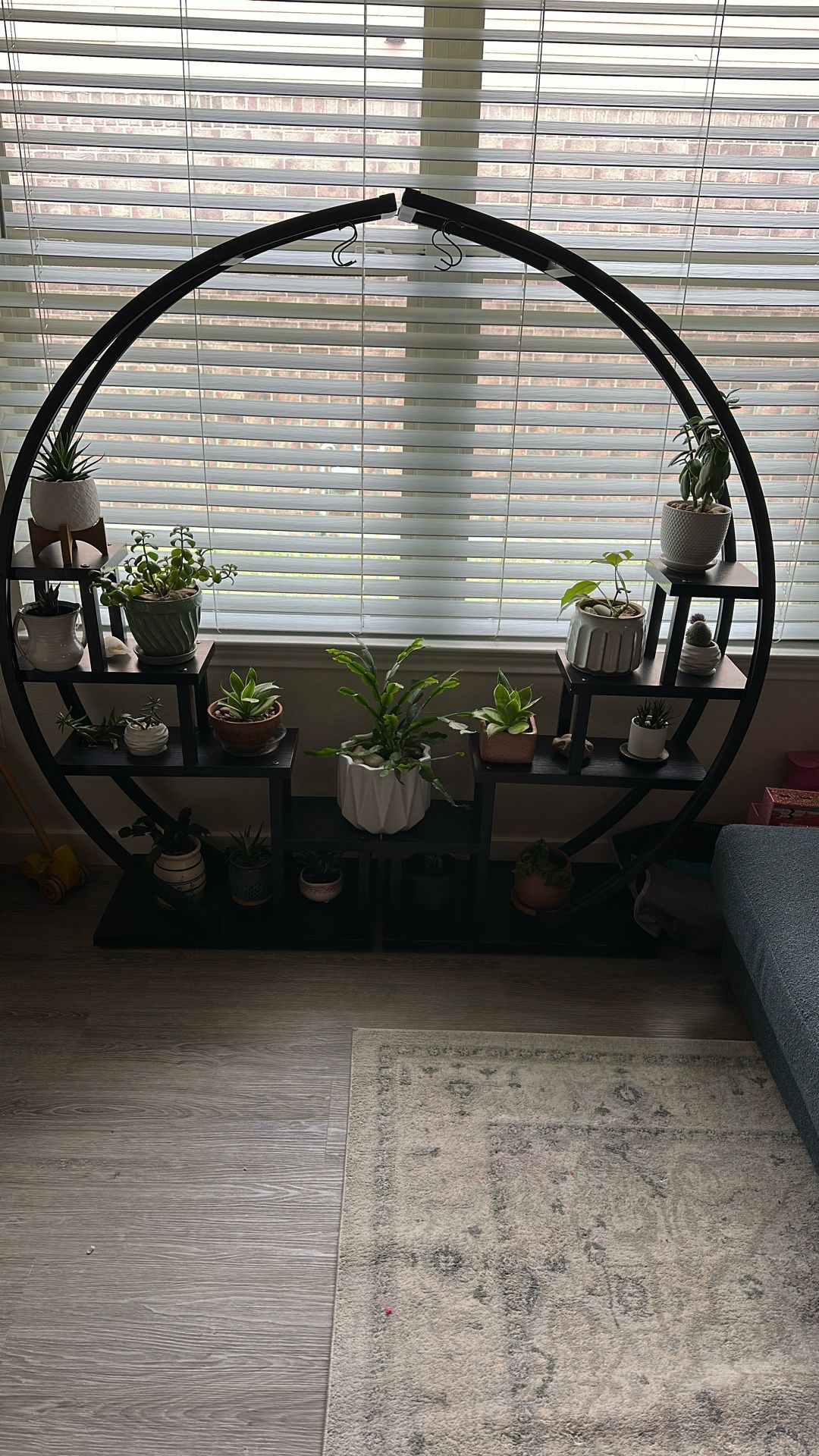 plant shelf