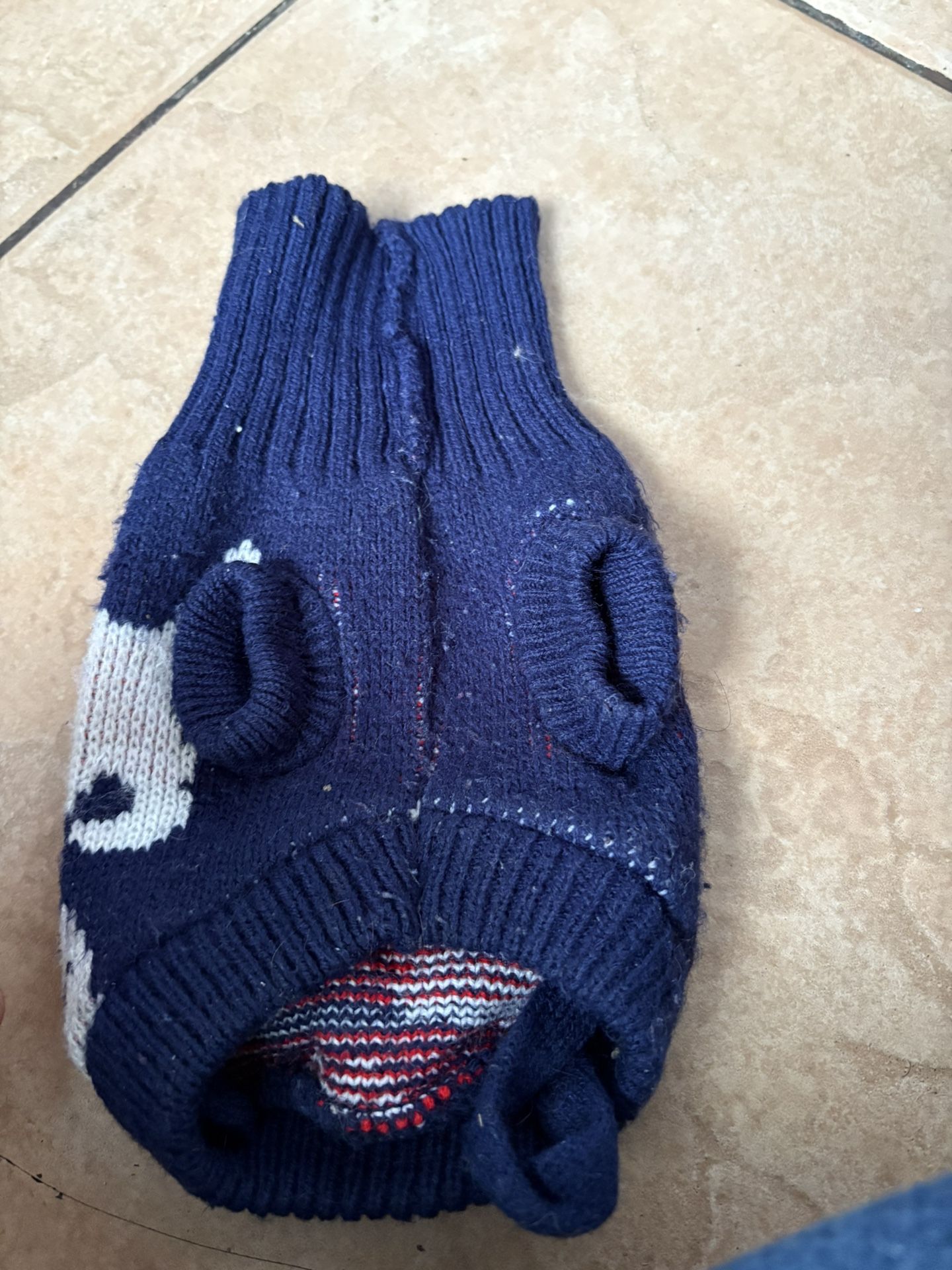 Blue Dog Outfit Size XSmall