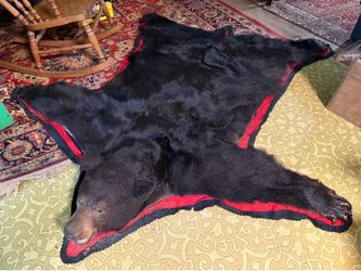 Black Bear Rug
