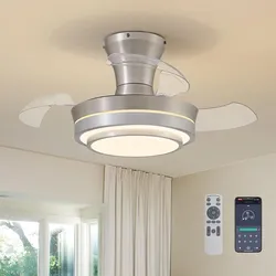 APBEAMLighting Ceiling Fan