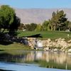 Palm Desert Sunbird