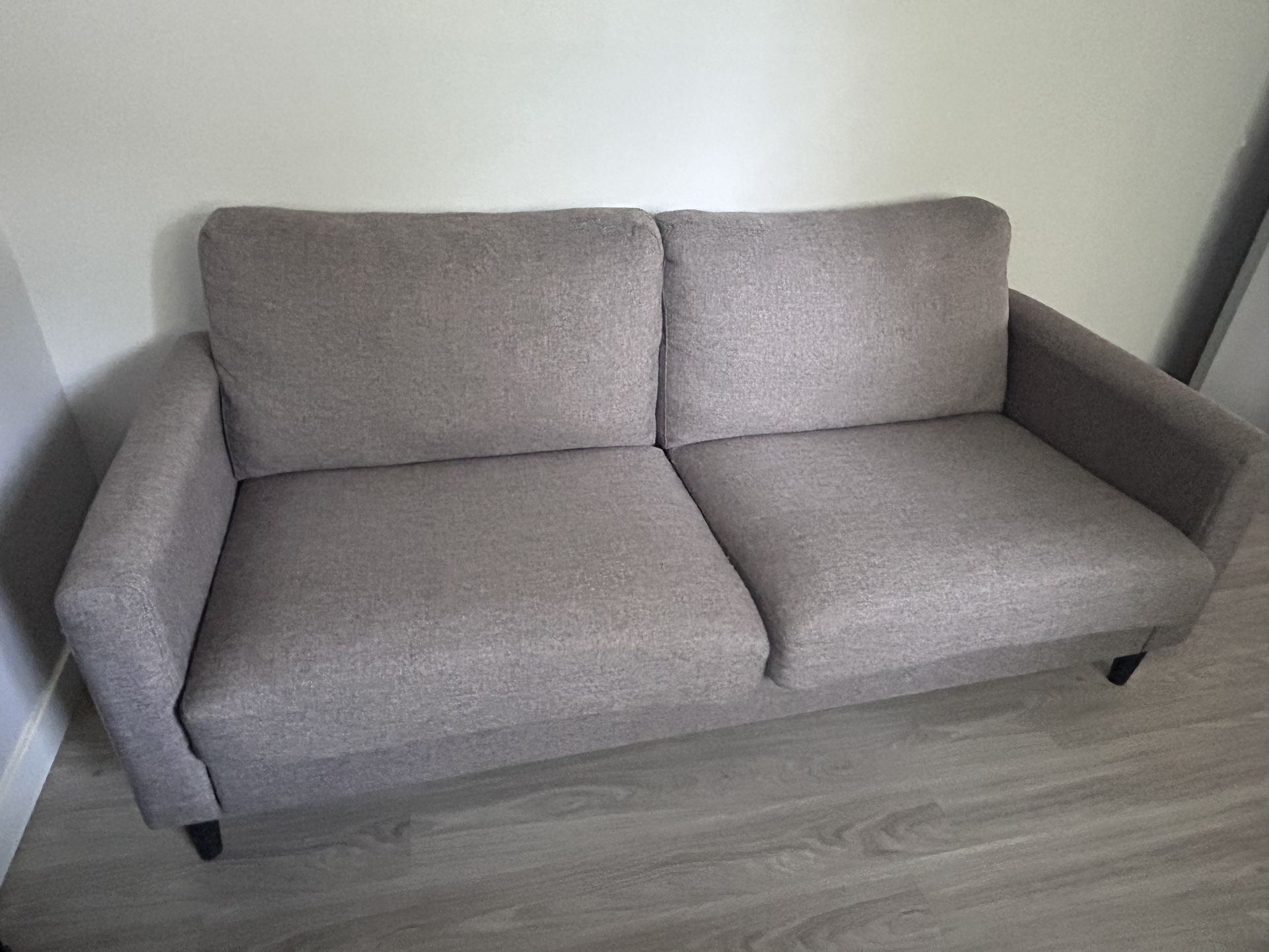 Small Gray Couch 