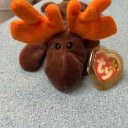 Beanie baby chocolate mousse