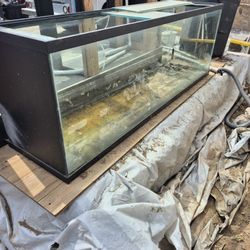 Free Fish Tank