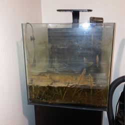 15 Gallon Fish Tank