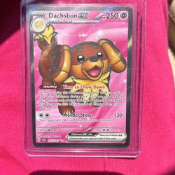 Dachsbun Ex #160/142 Pokemon Stellar Crown