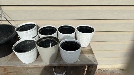 Self Watering Pots 