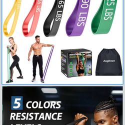 Resistance Bands for Working Out: 5-Levels Exercise Bands Set - Pull Up Assistance Elastic Silicone - Physical Therapy/Stretching/Training - Home Gym 