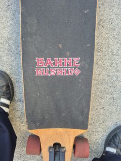Long Board Skate Board 