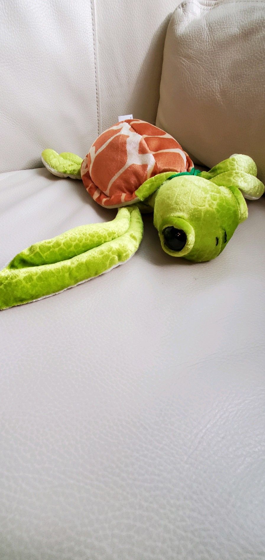 Cute Stuffed Turtle!