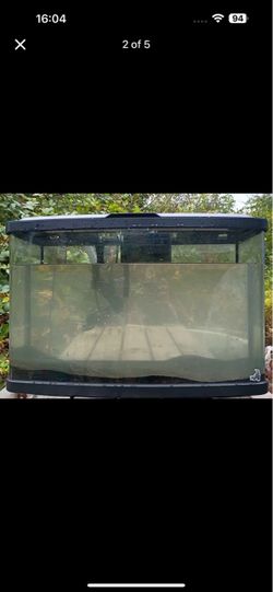 Bow front aquarium tank 20 gallon setup