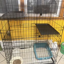 Cat Cage