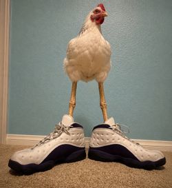 USED Air Jordan 13 Lakers SIZE 9 MENS