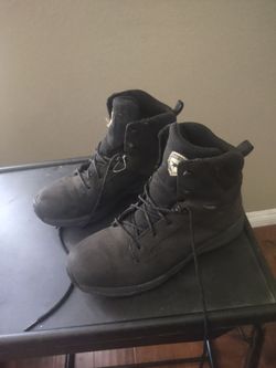 Irish setter  9.5