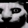 Kitty Gonzales 