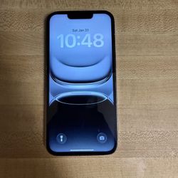 IPHONE 13 pro (everything works perfectly fine & carrier unlocked)