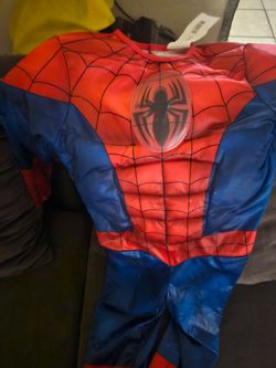 Spiderman Custom