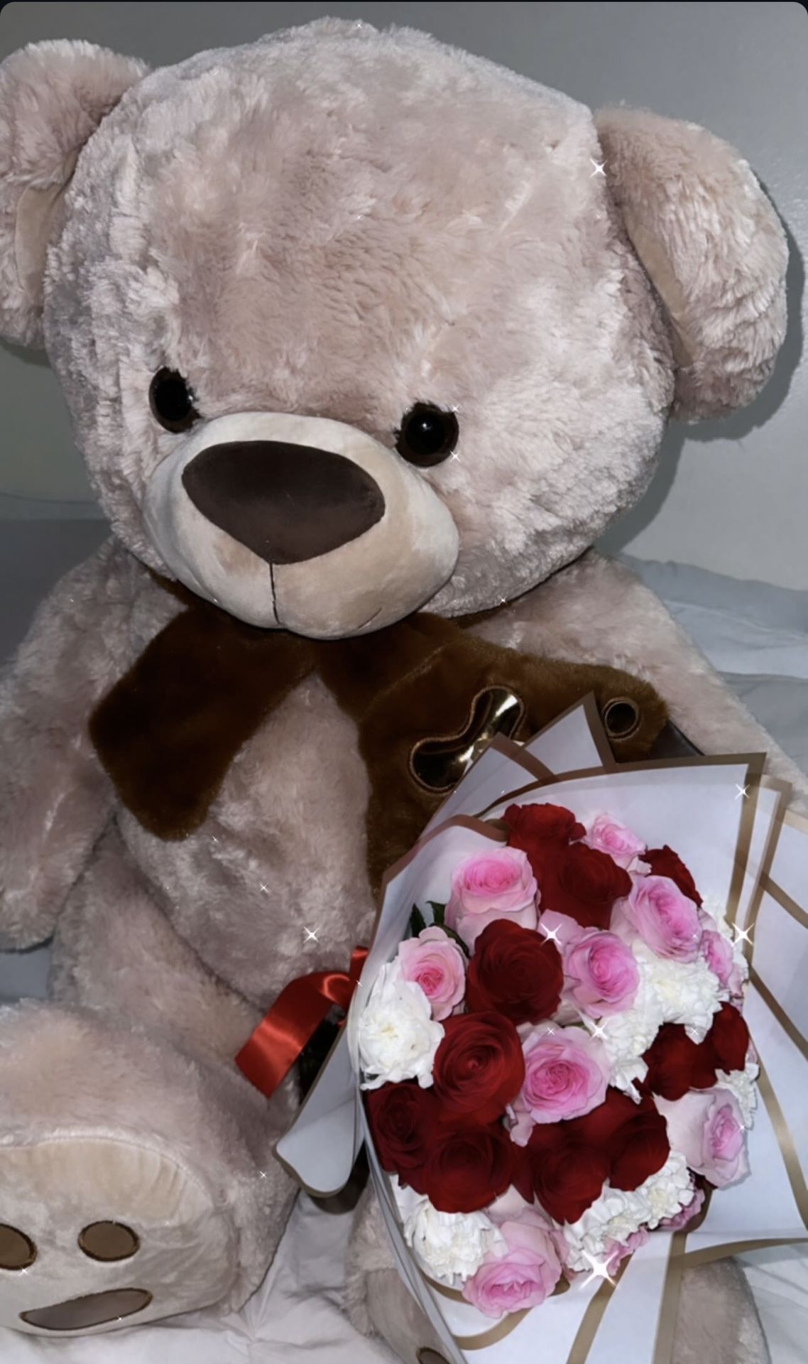 Valentines Teddy Bear