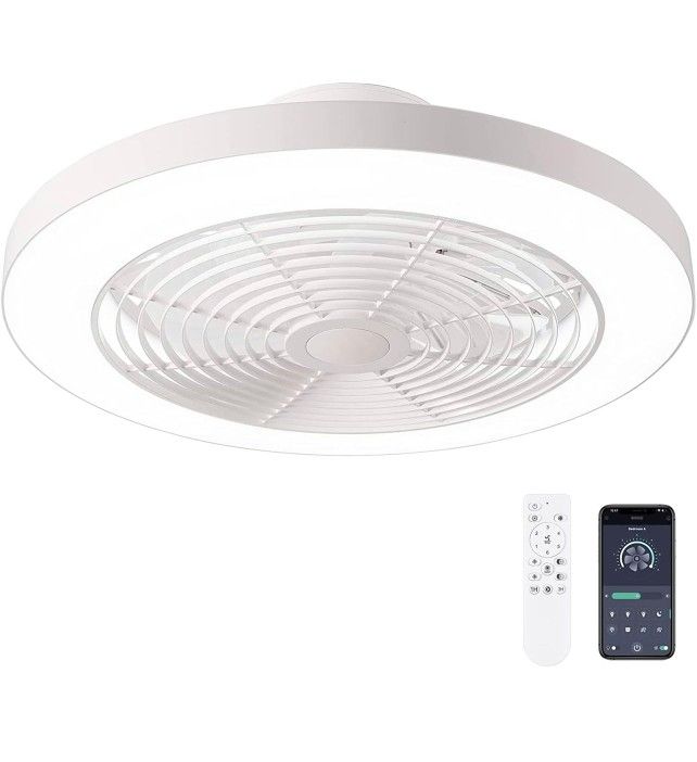 Ceiling fans with lights