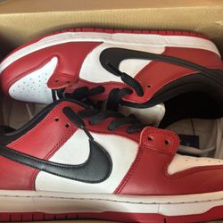 Size 11 Nike SB Chicago Dunks Worn 1 Time ebay Authentication 