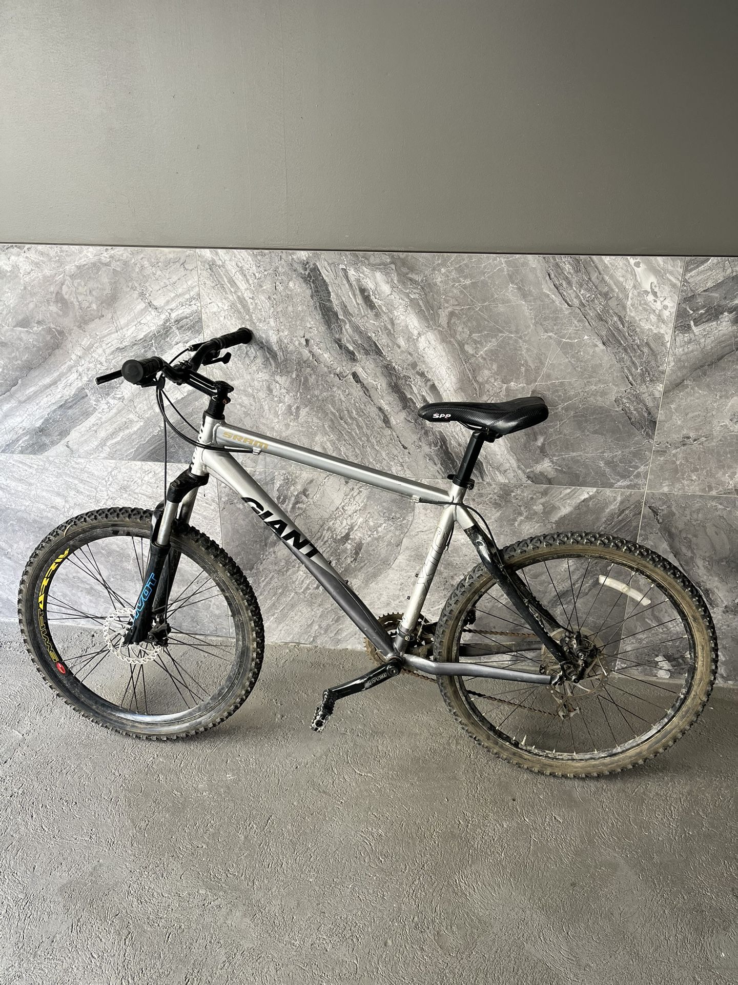 Giant Bike