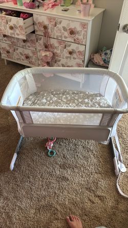 Baby Delight Bassinet