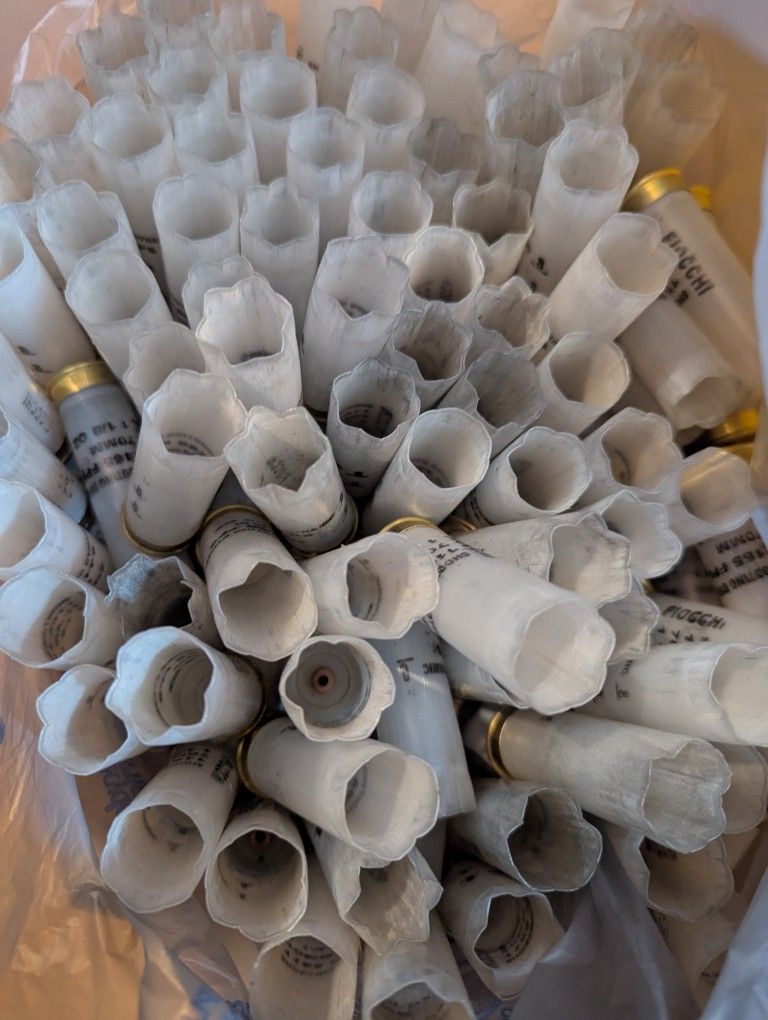 Reloads 250 Count 