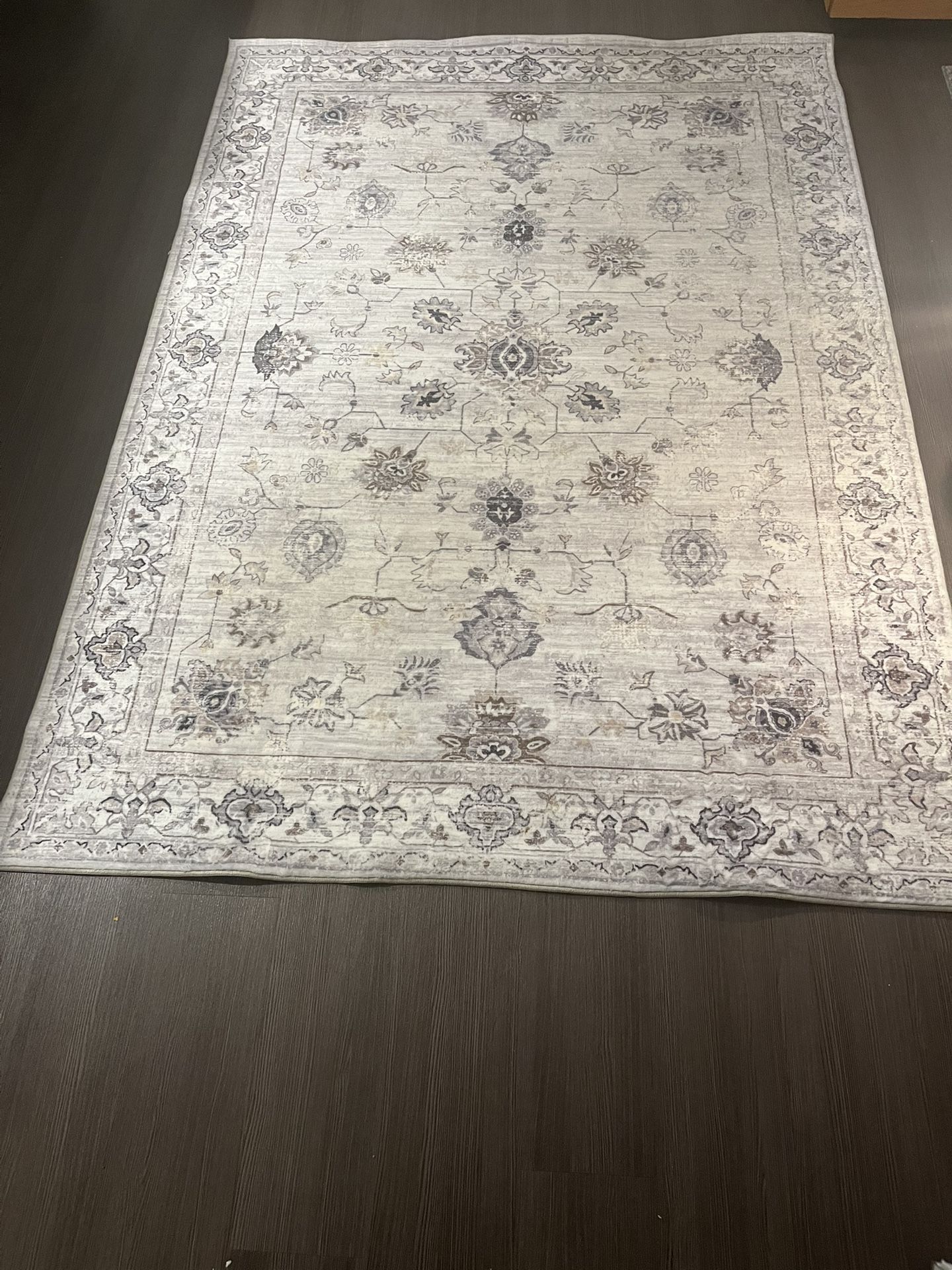 Area Rug & Lamp Deal