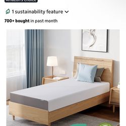 Two FREE Twin Mattresses