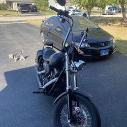 2006 Harley Davidson FXDBI STREET BOB