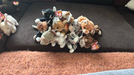 TY beanie babies