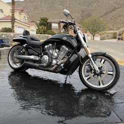 2013 V Rod Muscle Harley Davidson