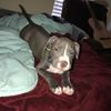 jay_813