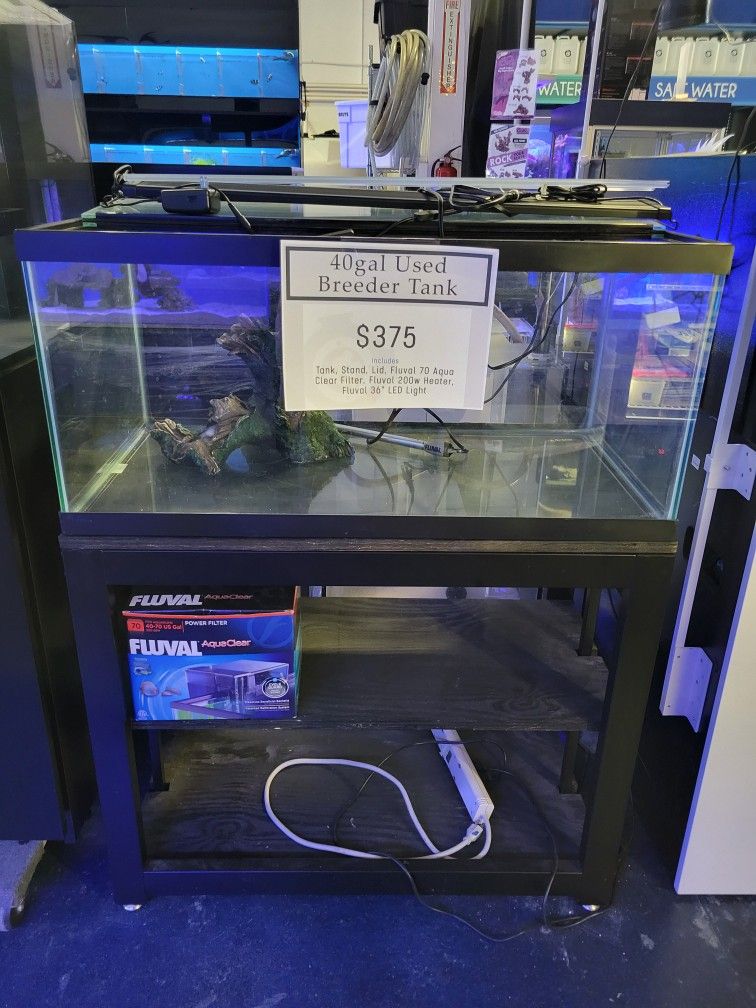 Used Aquarium 40gal Breeder Tank