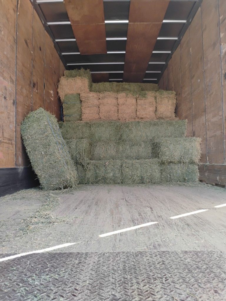 Alfalfa Hay