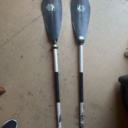 Canoe Paddles Bending Branches REI