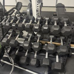 Dumbbells And Rack