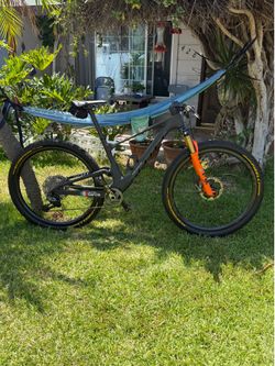 Scott Spark(medium)