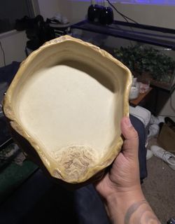 Snake / Reptile Bowl