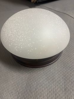 Flush mount light fixture with frosted glass