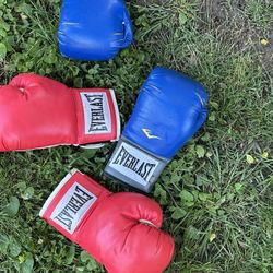 Everlast boxing gloves 