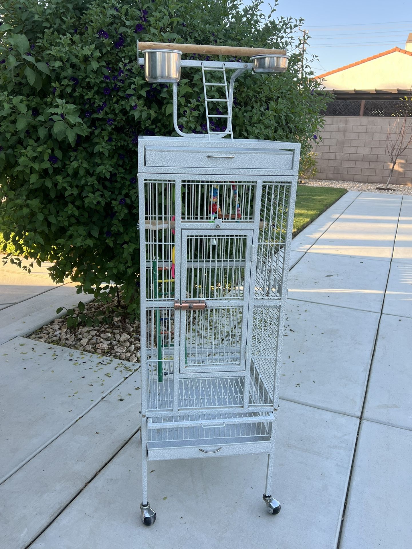 Bird Cage 