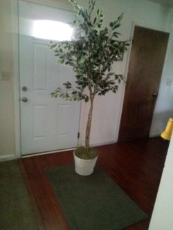 Fake plant