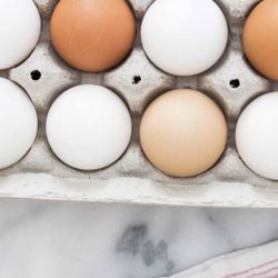 Fresh Eggs 