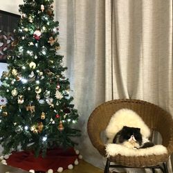 FREE Artificial  7ft Christmas Tree 