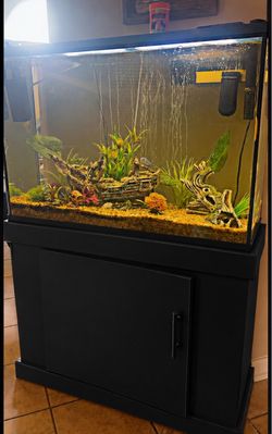 Fish tank