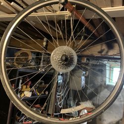 Bicycle Alex Rims